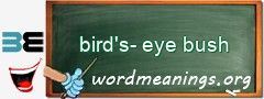 WordMeaning blackboard for bird's-eye bush